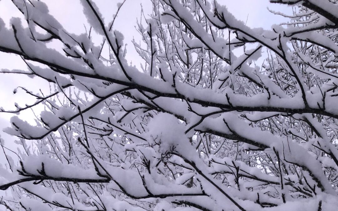 300 ord för snö 5 mars kl 15.00