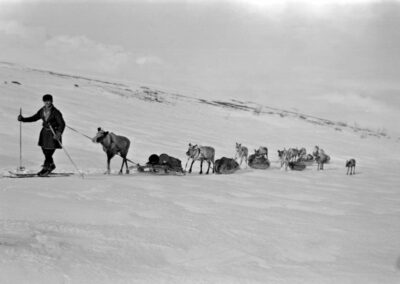 Renrajd och tv-inspelning med SVT7 mar kl 12 & 14