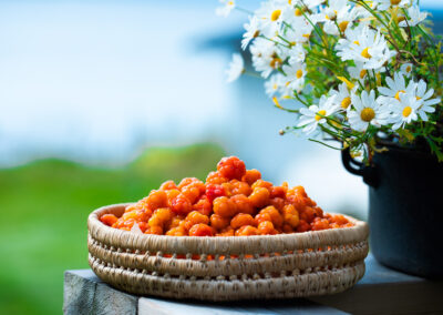 Arctic Forum food – workshop2 mar kl 08.30-18.30